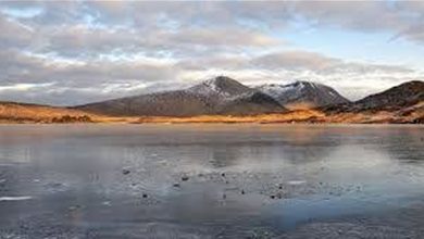 Photo of YETİŞKİN ÇOCUĞUMA